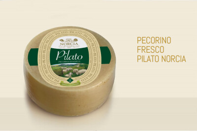 Pecorino Fresco Pilato Norcia - pilato-formaggio